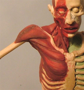 Back7.jpg