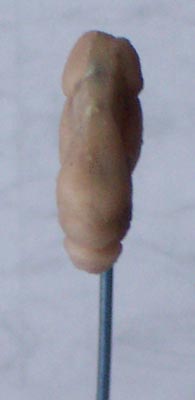 Bild 002.jpg