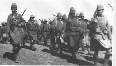 Boer4.jpg