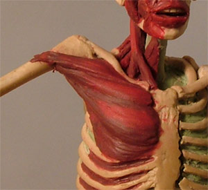 Chest1.jpg