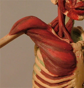 Chest2.jpg