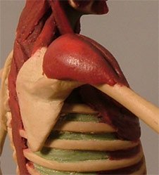 Chest3.jpg
