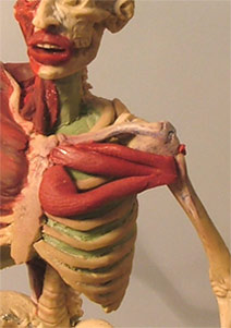 Chest6.jpg