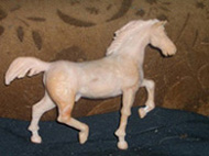 CIMG0006.JPG