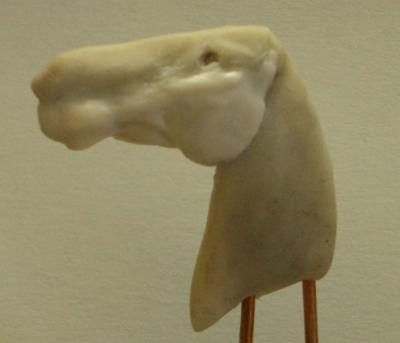 CIMG0024.JPG