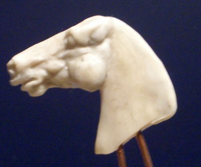 CIMG0037.jpg