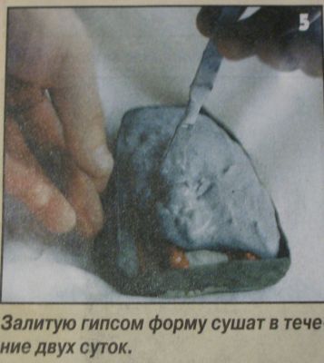 CIMG0050.JPG