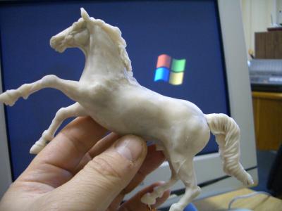 CIMG0078.jpg