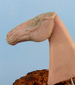 homework-13.jpg