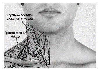 image105.gif