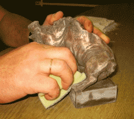 IMG_2336.gif