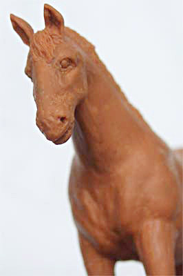 konik-6.jpg