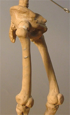 LE07.jpg