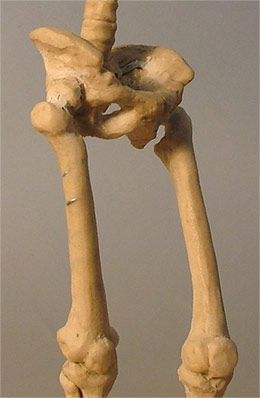 LE08.jpg