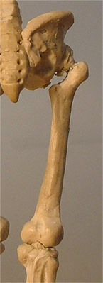 LE09.jpg