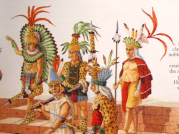 maya1.jpg