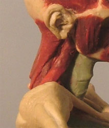 Neck11.jpg