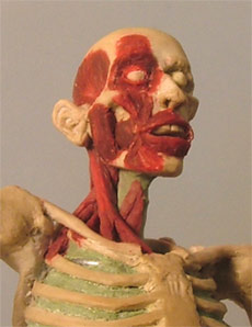 Neck14.jpg