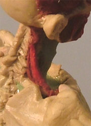 Neck5.jpg