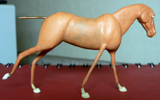 P1000647.jpg