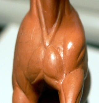 P1010006.jpg