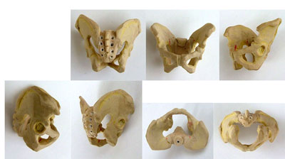 p19s.jpg