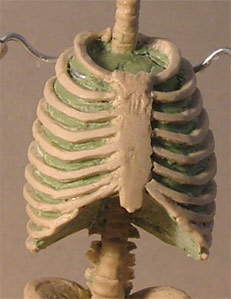 TH01.jpg