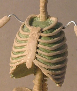 TH02.jpg