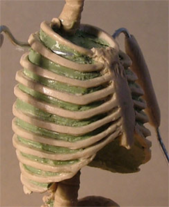 TH03.jpg