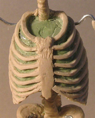 TH08.jpg