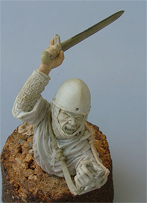 truncus3.jpg