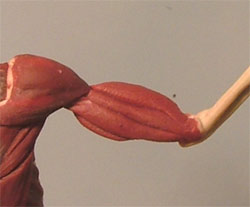 UE10.jpg