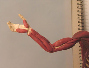UE13.jpg