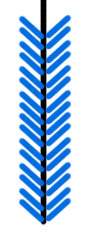 Untitled-1.jpg
